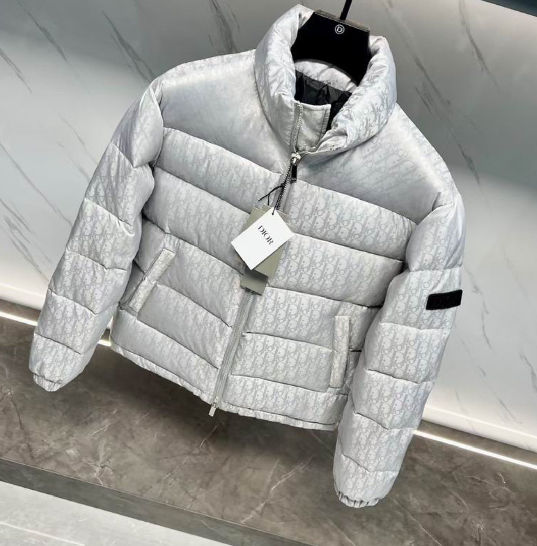 Dior “Oblique” Silver Edition