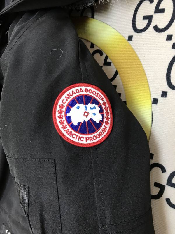 Canada Goose