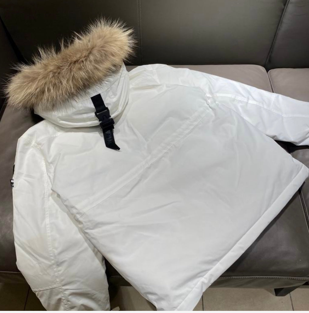 New York Yankees x MLB