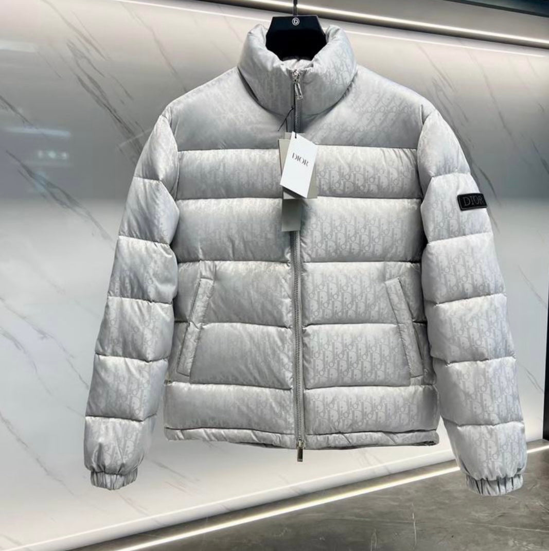 Dior “Oblique” Silver Edition