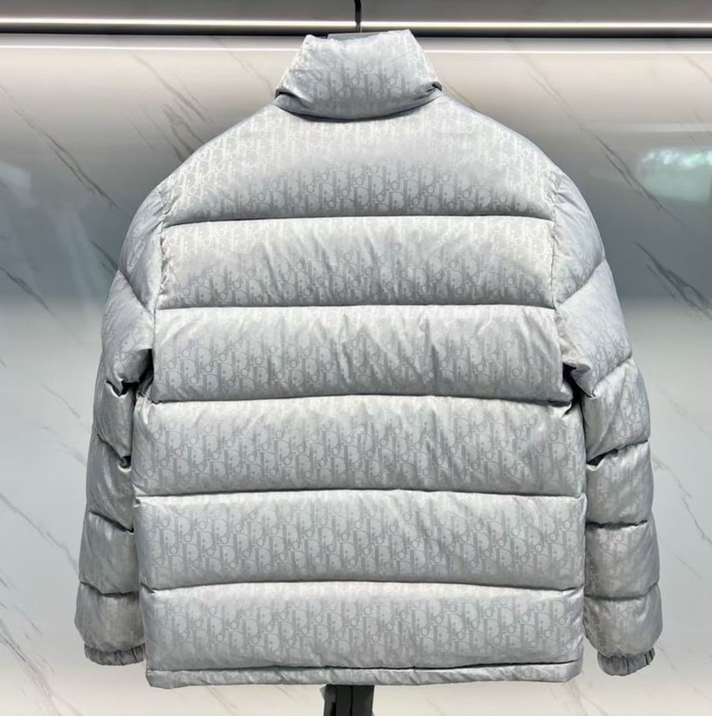 Dior “Oblique” Silver Edition