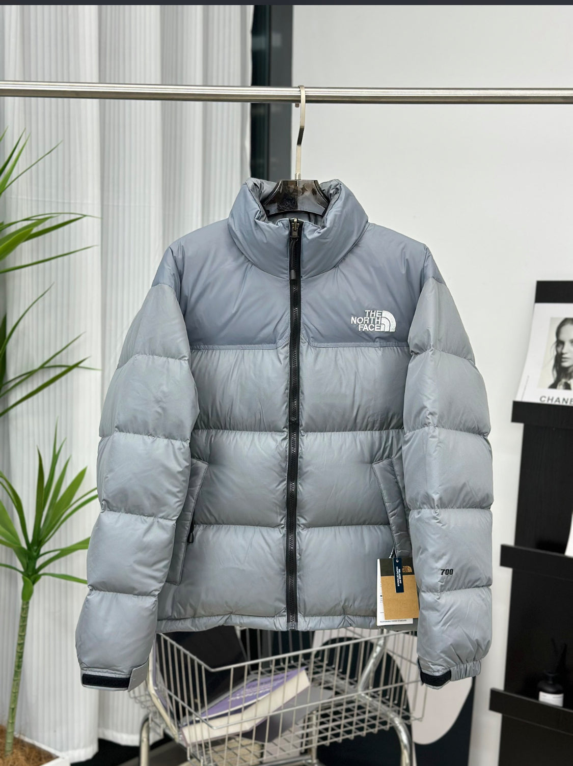 The North Face “ Nuptse 700”