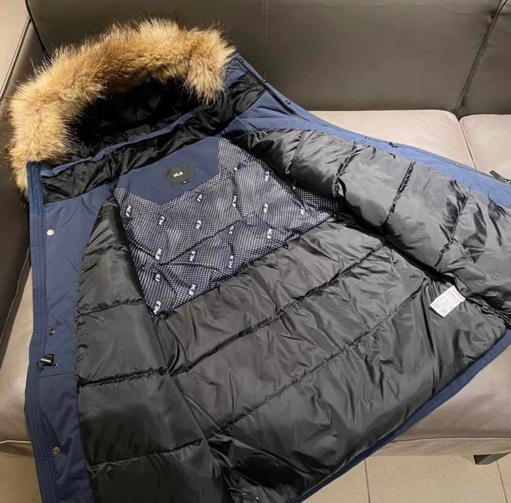 New York Yankees x MLB